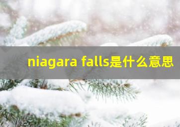 niagara falls是什么意思